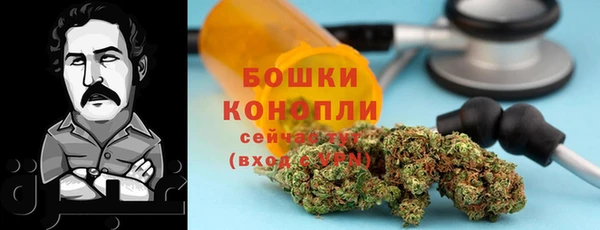 стаф Арсеньев
