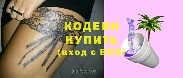 стаф Арсеньев