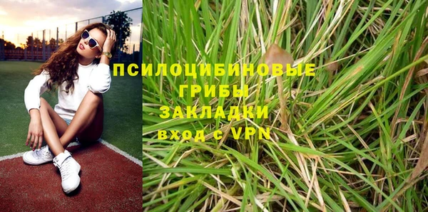 стаф Арсеньев
