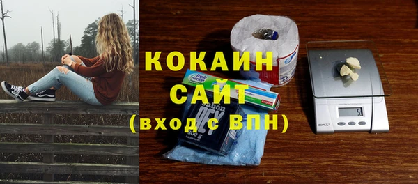 стаф Арсеньев