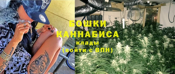 ПСИЛОЦИБИНОВЫЕ ГРИБЫ Армянск