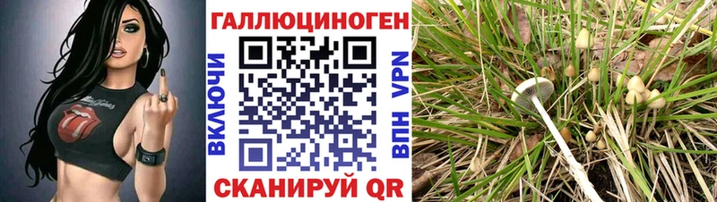 darknet телеграм Мариинск Галлюциногенные грибы ЛСД что такое